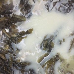 家常鱼肉菜谱，酸菜鱼，简单美味营养，满满一大盆，超级过瘾！