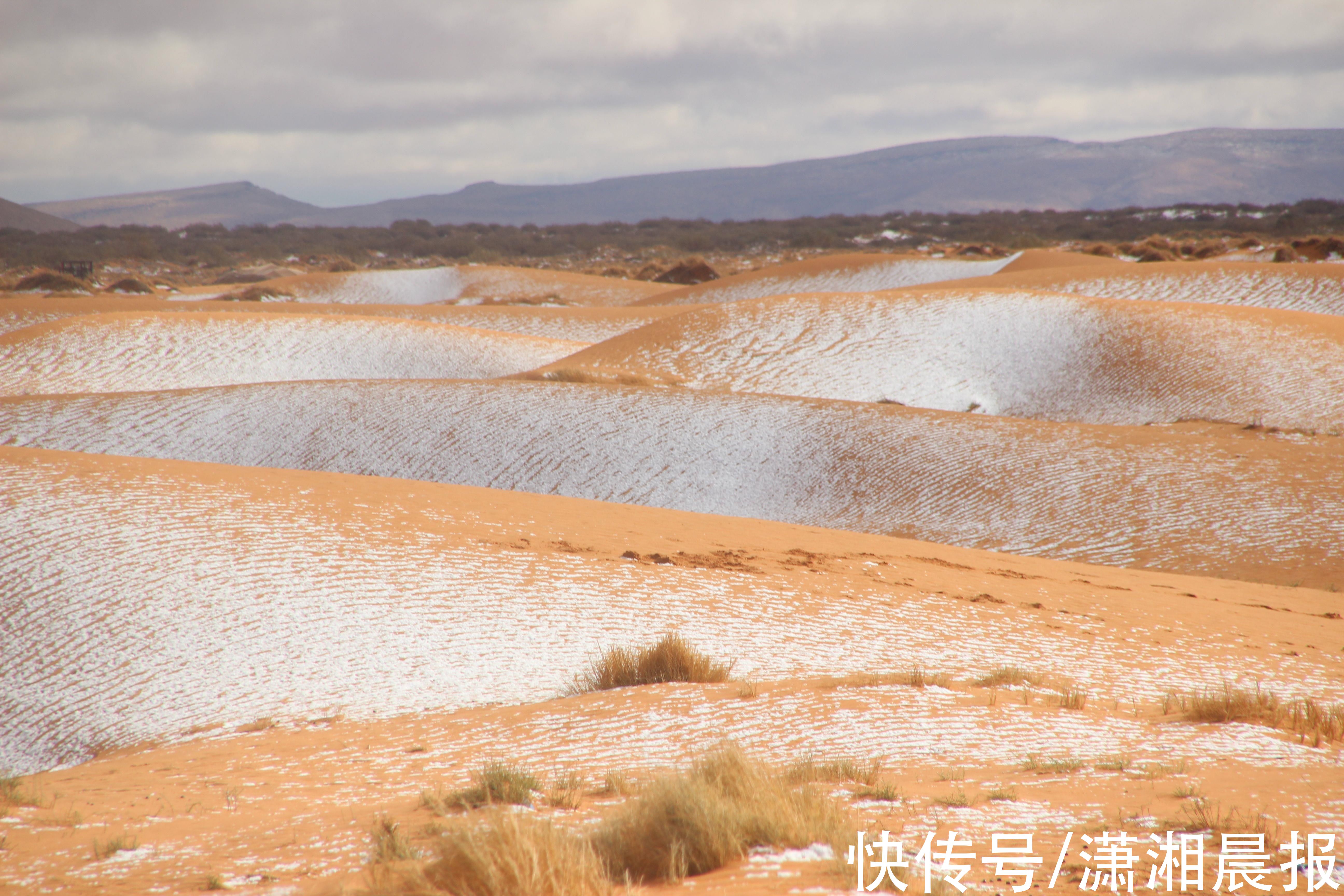 雪海|撒哈拉沙漠罕见下雪，“沙海”变“雪海”