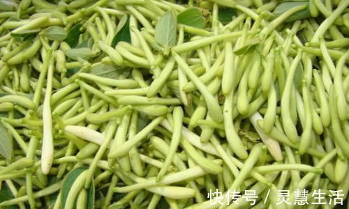 月经期间|黄芪加一物,长寿跑不了!但要牢记“四不喝”,喝对才健康