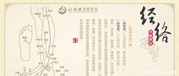 一语道破中医本质，一个家庭的求医自救故事
