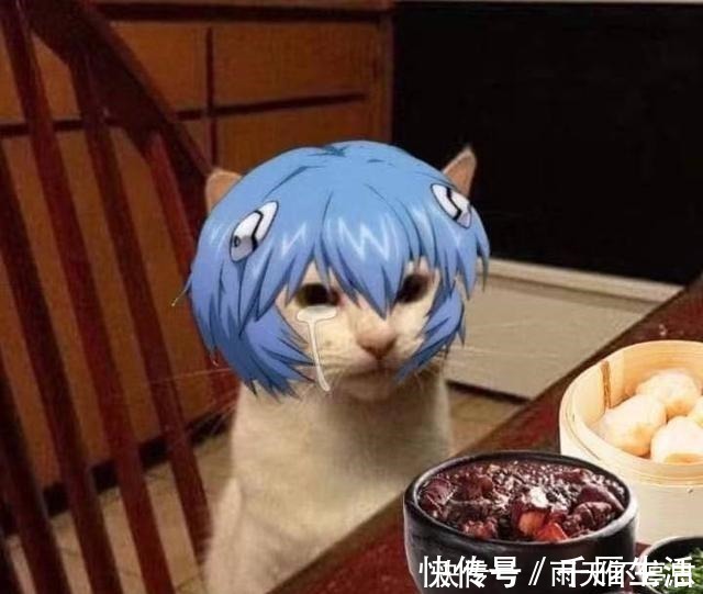 杂谈|二次元纸片人陪你吃饭是一种什么样的体验这可太下饭了!