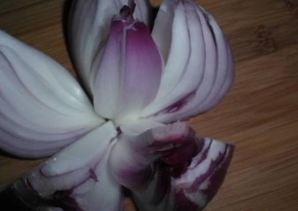 月季天热“洗个澡”，养根、促开花，一年开花比一年旺