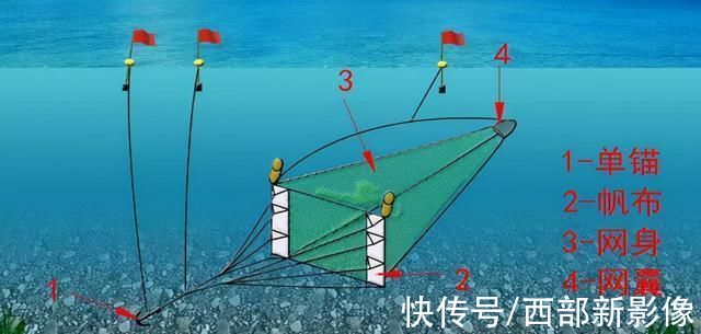 钓鱼竿|一觉醒来，除了钓鱼竿，几乎所有渔具都被禁了