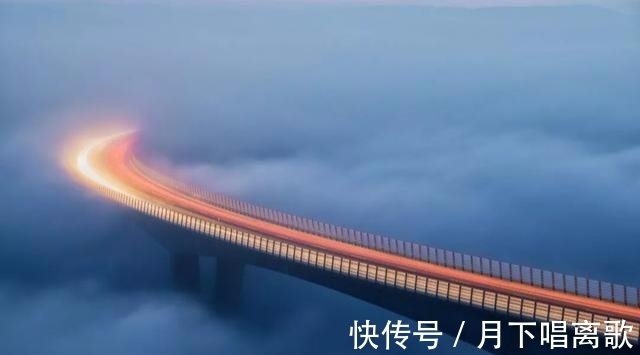 奇趣|精选一组奇趣图片;世界上最长的头发、显微镜下的睫毛及舌头