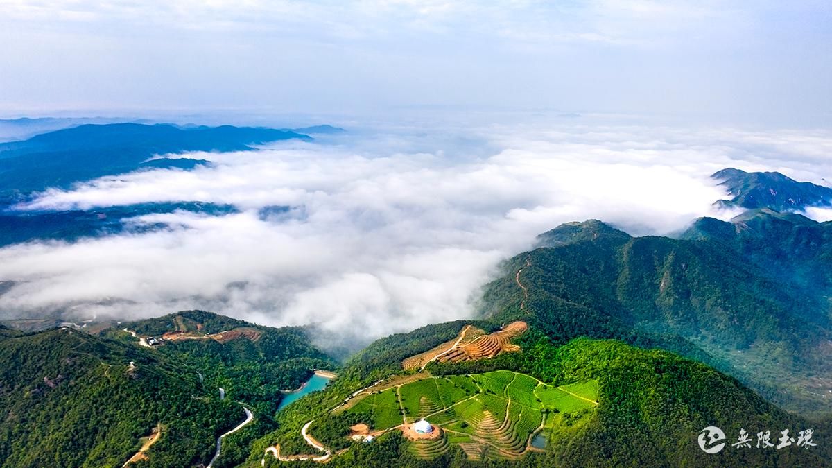 陈高|登最高的山 看最美的日出