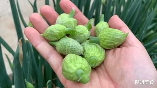 这道菜|大葱的花苞是个宝，不蒸不煮不凉拌，这样做，上桌就抢光，太香了