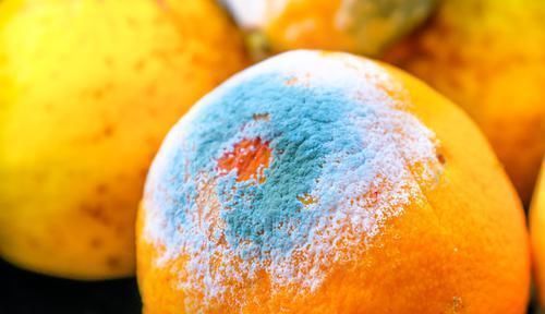 草莓|六种食物,最好不要放冰箱里,不仅容易变质,它们还是最强致癌物