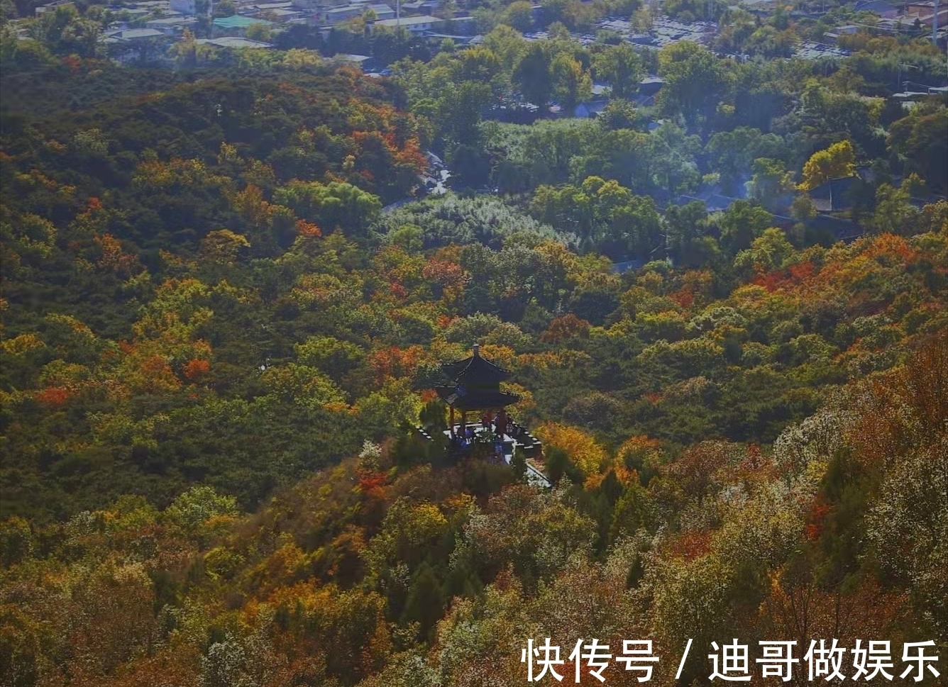 红螺寺|北京银杏美学巅峰：红螺寺千年雌雄银杏树！赏秋与祈福两不误！