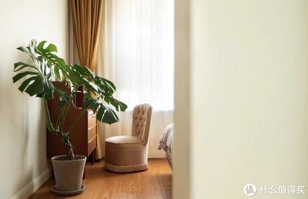 细节处|四川一屋主将绿植与复古融合，打造清新灵动之美，这个氛围感太绝