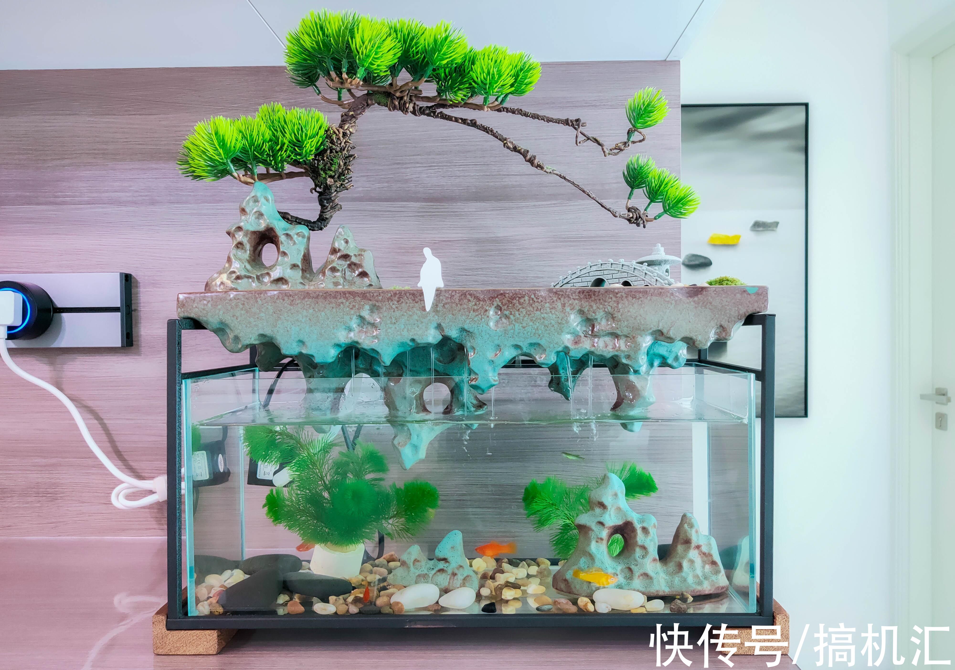 天空之城+流水造型，MOMOYOO水光山色鱼缸体验：萌新养鱼记
