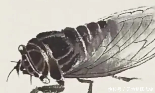 文艺工作者#为什么齐白石的“蝉”能卖8亿天价?专家:放大30倍后就懂了