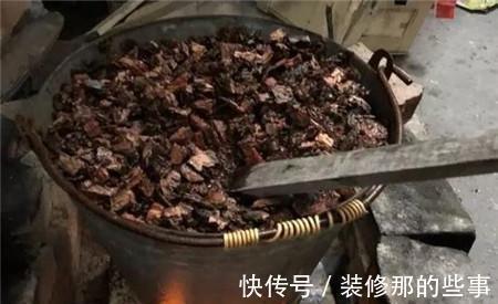 秋天到了,满地都是宝贝“松树皮”,养花有奇效