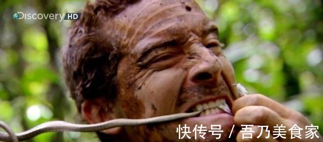 英國空軍|荒野求生 曾被評為站在食物鏈頂端的貝爺, 如今過得怎么樣了！