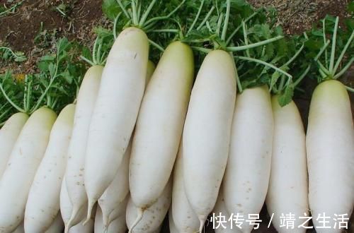 张医师|白萝卜和此物一起炖，坚持3天，痰没了，咳嗽好了，不妨试试