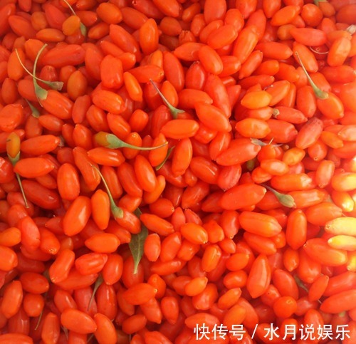 泡枸杞|枸杞百利但有三害，危害极大，很多人都不清楚，一直到现在才了解