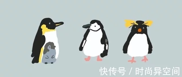 关于企鹅，我晓得的不多（企鹅绘本书单）