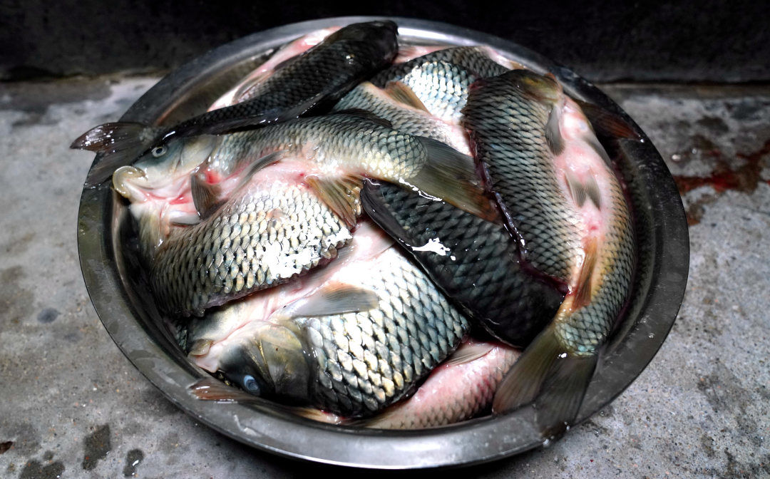 舌尖上的美味 英川田鲤鱼干