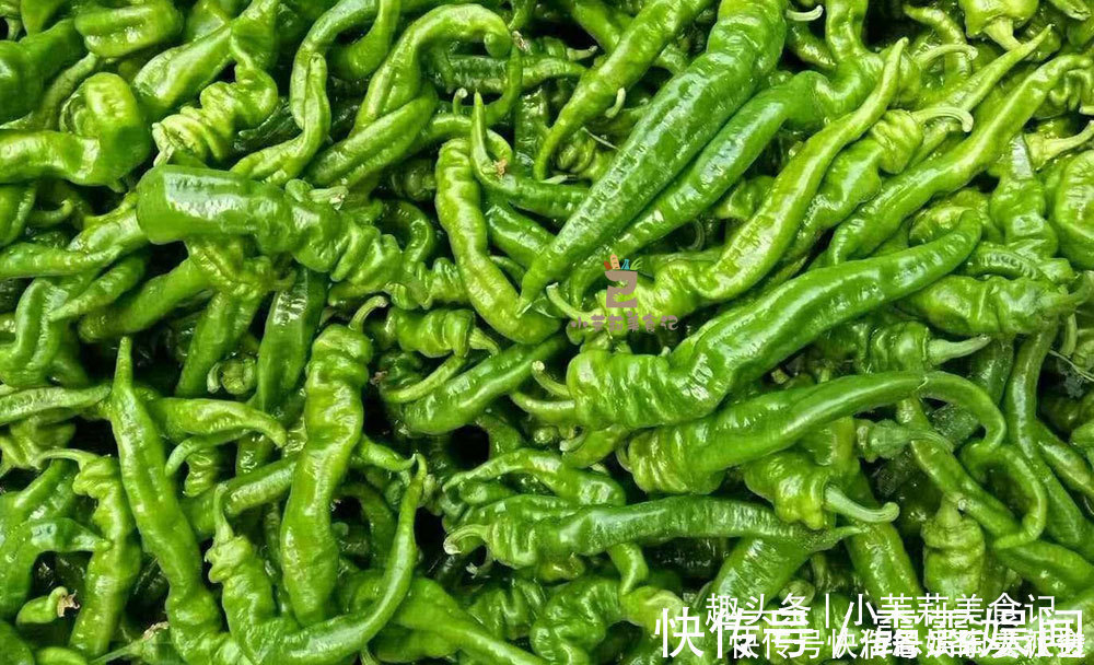 螺丝椒|买青椒时,直的辣还是弯的辣老菜农辣不辣看“这里”准没错