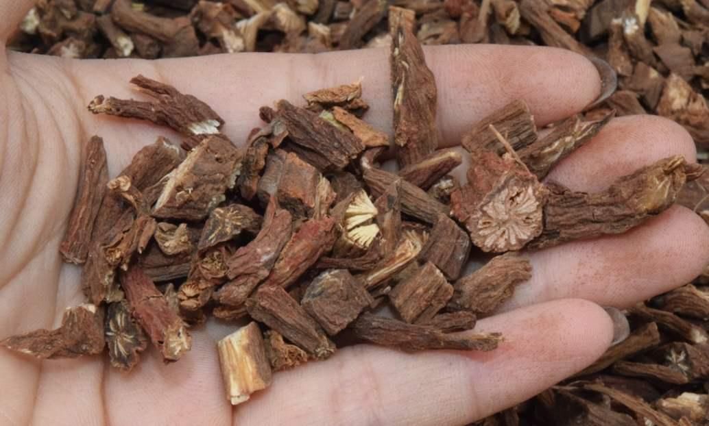 肝毒|黄芪和它是“天生一对”,搭配饮用,补气养血、排出肝毒