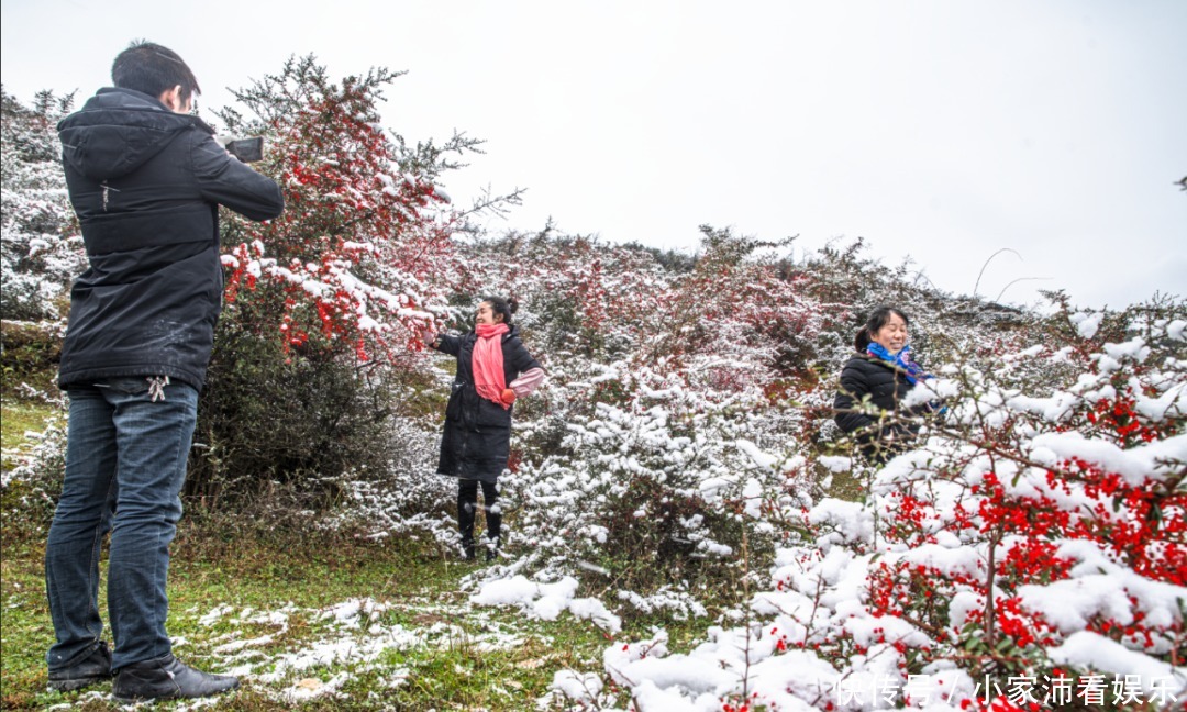 重庆主城|下雪了！雪玉山今冬第一场雪已“到货”，美景刷爆朋友圈！