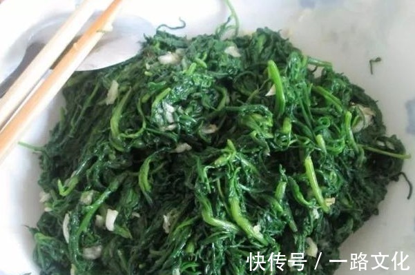 营养价值|天热，这3种野菜要多吃，比买的营养高，清肠消暑还补钙！