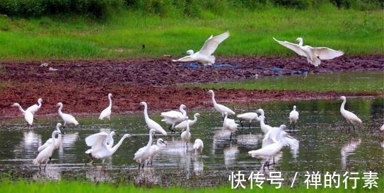 晏殊|唯美诗词名句100句,每一句都是精华中的精华