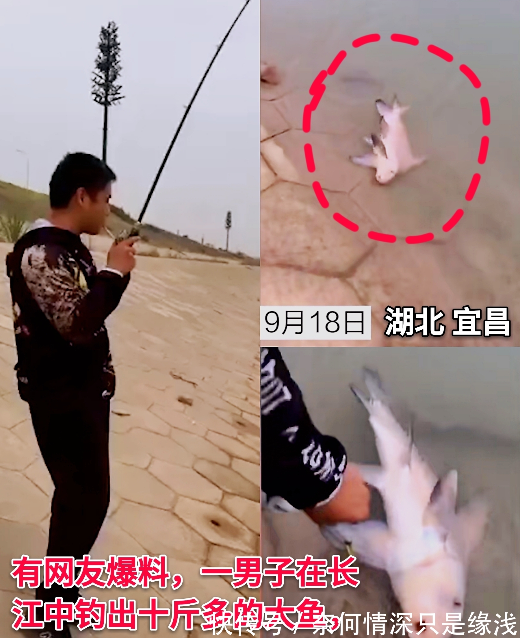 男子|湖北一男子在长江中意外钓起10斤“美人鱼”，走近一看被吓坏了！