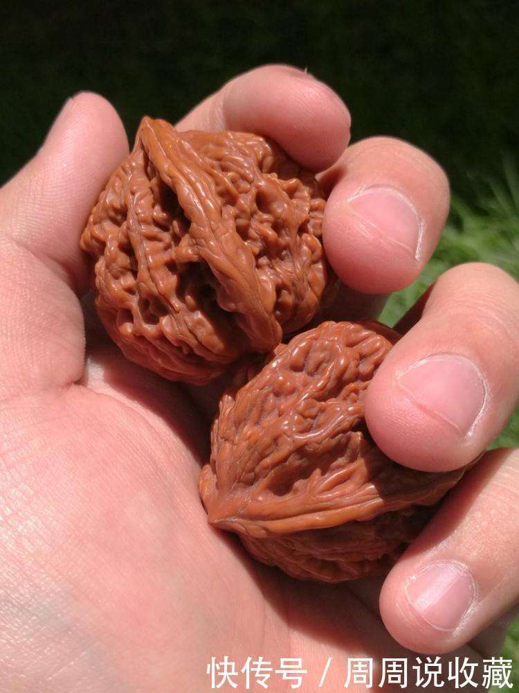 温润|温润如玉的文玩核桃该如何打底的呢?