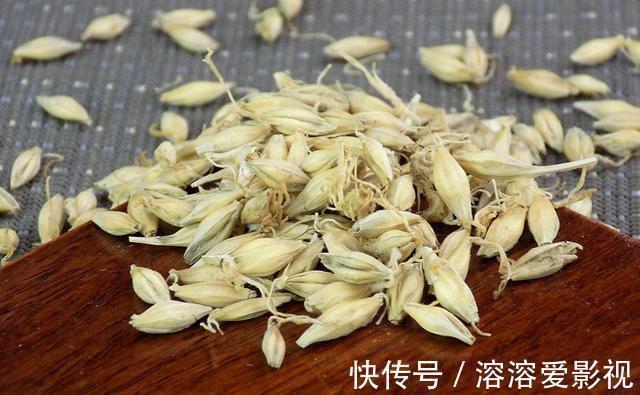 饵料|除了麦粒和蚯蚓,这几种饵料,用来野钓鲫鱼,中钩都是大鲫鱼