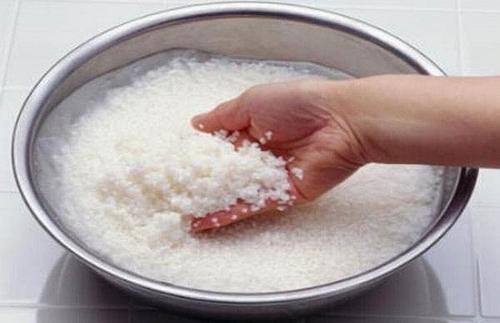 矿泉水瓶|淘米水浇花甭大意、随便！学会正确用法，养花才能盆盆长得旺