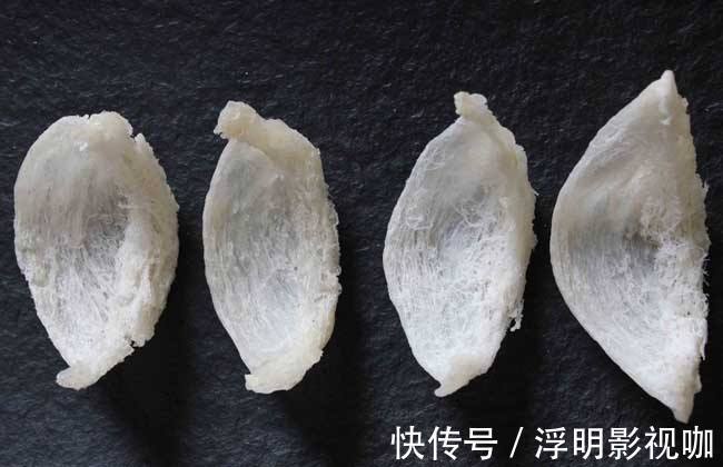 大脑|女性进入孕期后常吃4种食物,能增强抵抗力,有利孩子大脑发育