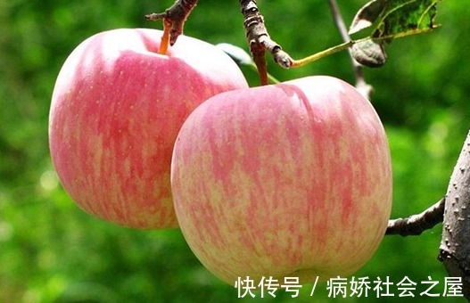 苹果|厨房里的“清肝王”被找到！若你刚好也爱吃，肝脏一天比一天干净