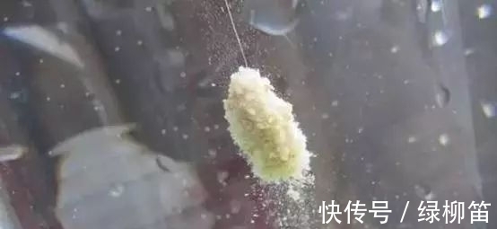 雾化|如何判断鱼饵是脱落,还是鱼在咬钩,老钓友给你支几招