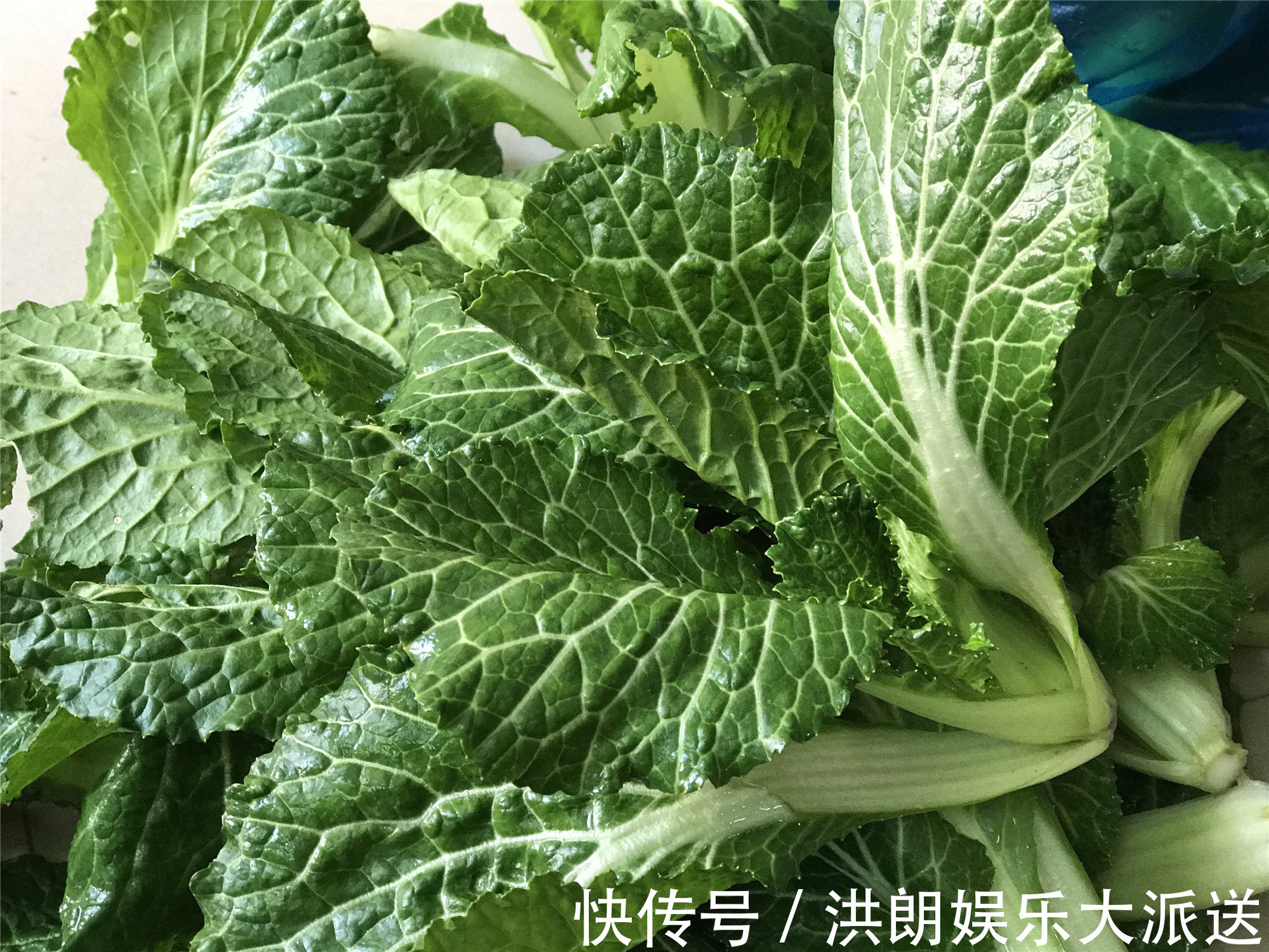 江南人家冬天必吃，饭菜一锅出，咸鲜软糯，连锅巴也不放过