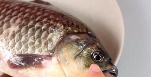 鱼鳞|这5种鱼别再买给孩子吃了,不仅没营养还影响健康,你选对了吗?