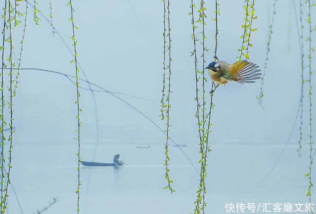  热血传奇|书藏古今，港通天下，海上丝路谱写的宁波热血传奇
