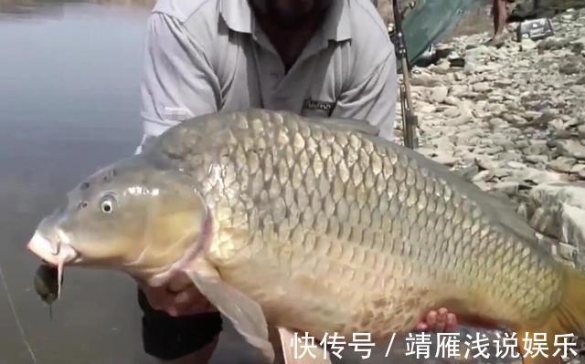 这几个迹象出现时，说明大鱼已经进窝了