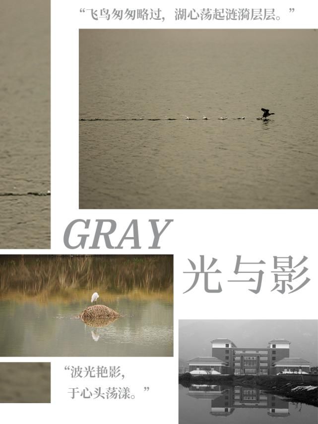 原来这些流行色，都藏在我们的协和里......