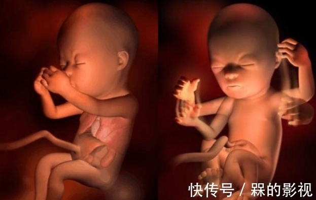 血红蛋白|29岁孕妇怀孕4月流产,医生:若出现5种感觉,或是胎儿在“求救”