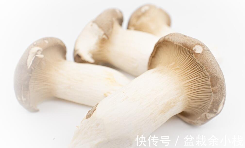 椒盐杏鲍菇|入秋后多吃杏鲍菇,推荐5种做法,不放肉也很香,下饭又下酒