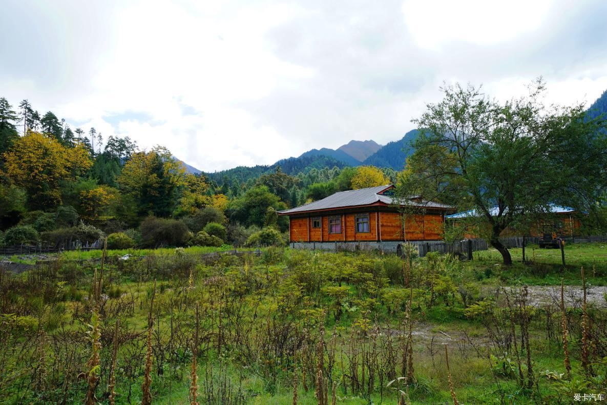 独自自驾游 欣赏最美的岗云杉林 体验环藏之旅的慢生活