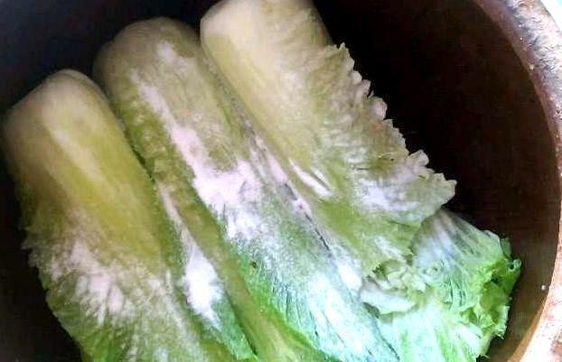 秘诀|奶奶腌制酸菜的“秘诀”,多加1步,更酸爽可口