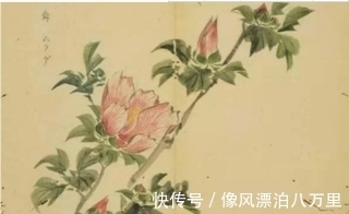 颜如舜华|图集：认识诗经里的植物大全