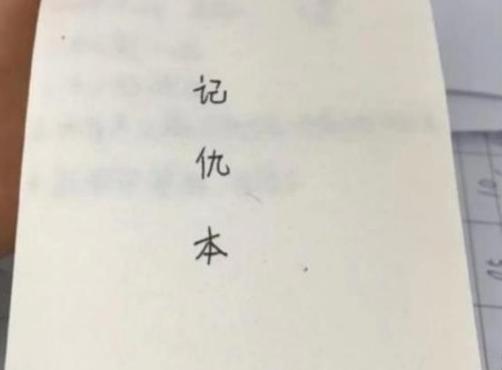 情绪|小学生“记仇本”火了,让人心疼又搞笑,网友:是当班干部的料
