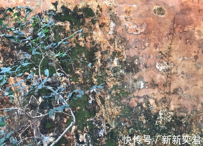 扇子&纳兰性德的词,何时秋风悲画扇,谁成了一把扇子?