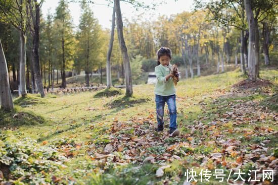 华侨城@以落叶为起点，唤醒城市“兴”生命