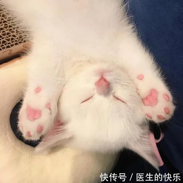 |「被窝段子20210727」生活没有低谷,只有蓄势待发