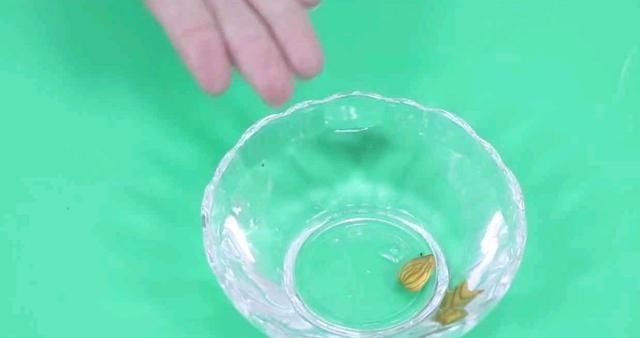 烂桃子一个都不能扔,放在家里太值钱了,下次别再扔掉,学学