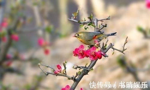 烟雨蒙蒙#他与苏轼是忘年交,一首诗词成为千古名篇,让挑剔的文人赞不绝口