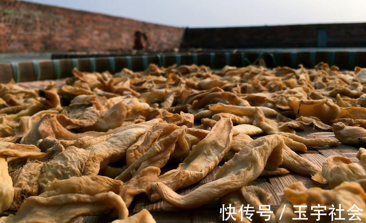 一个晚上|腌萝卜干,先腌还是先晒学会这土方法,又香又脆,放一年不坏